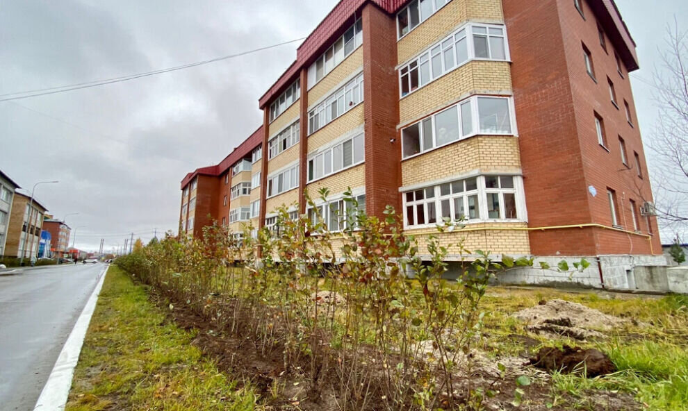    В Пуровском районе в Год экологии высадили 8 тысяч деревьев
