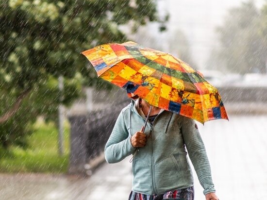     Густаво Зырянов / "МК в Новосибирске"