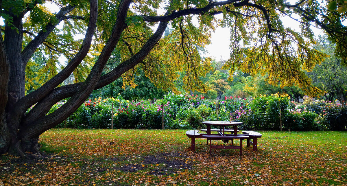 Ботанический сад Лунда