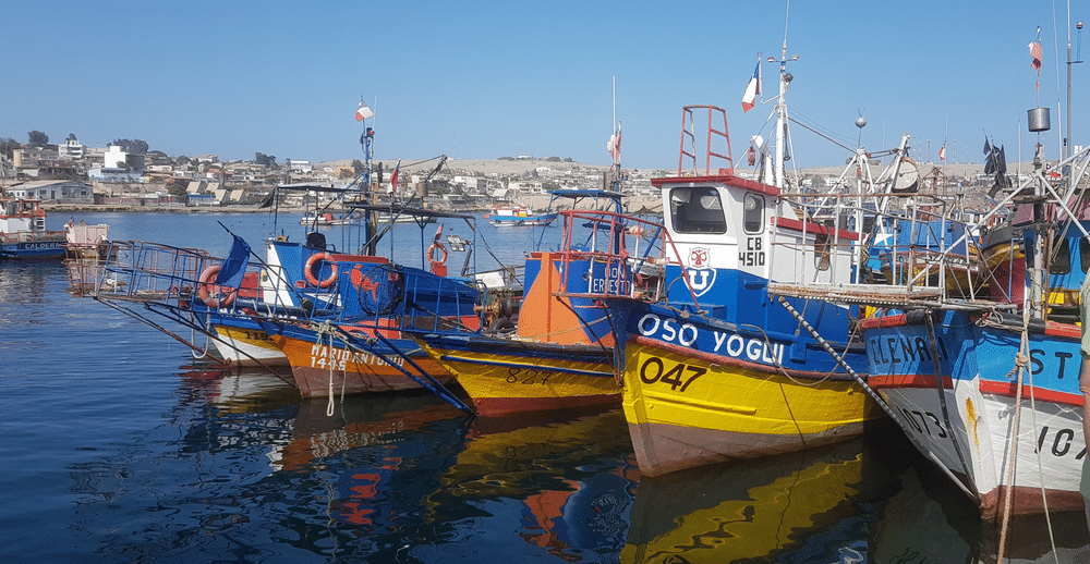 Английская бухта