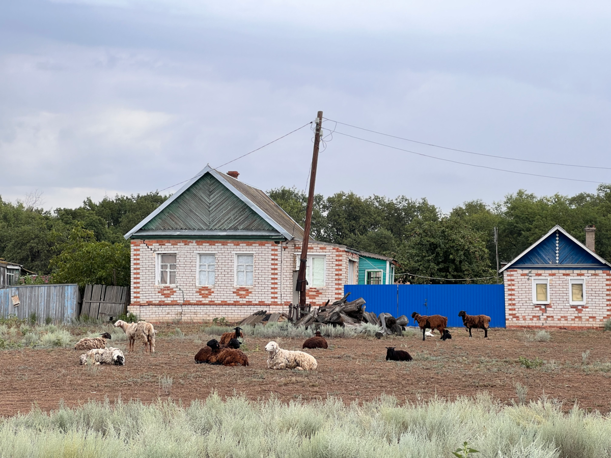 Сарпинский - остров моего детства. Приехали на остров спустя 30 лет и  посмотрели как там живут сейчас | Мои Вкусные Маршруты | Дзен