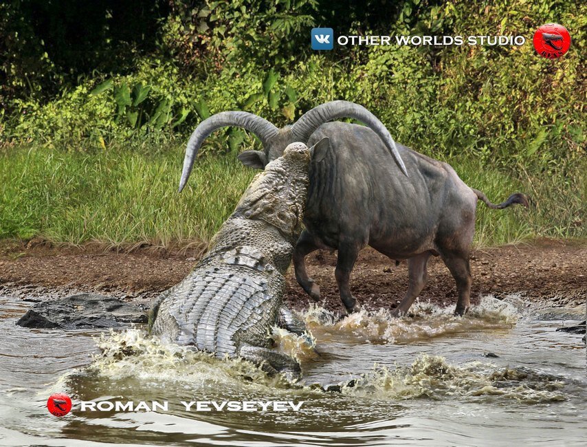 Гена, ты чего такой злой?