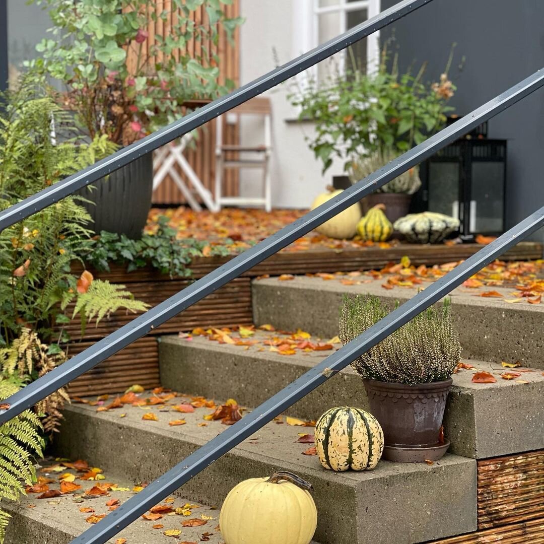 Осенний декор уже повсюду