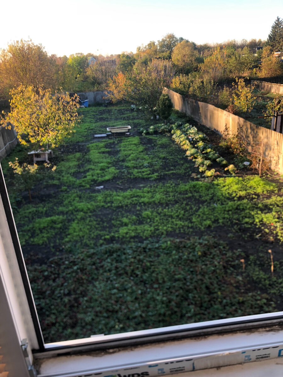 А за окном то дождь, то снег… Фото автора. И все последующие снимки - мои.