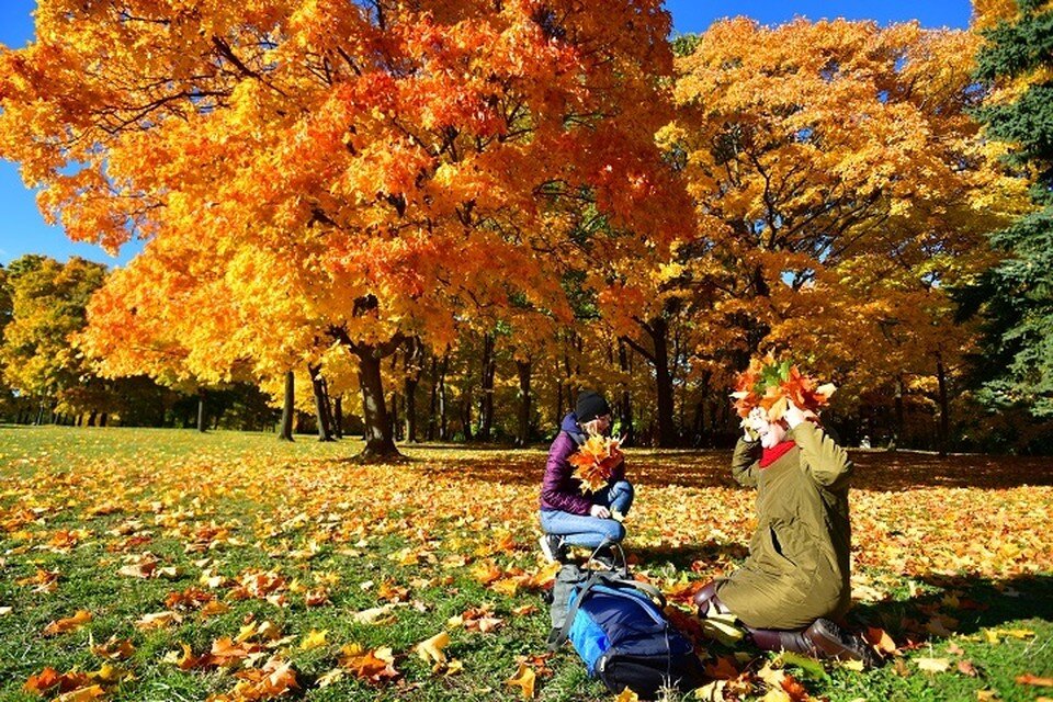     Нужно только дождаться солнечной погоды и можно отправляться в путь. Михаил ФРОЛОВ