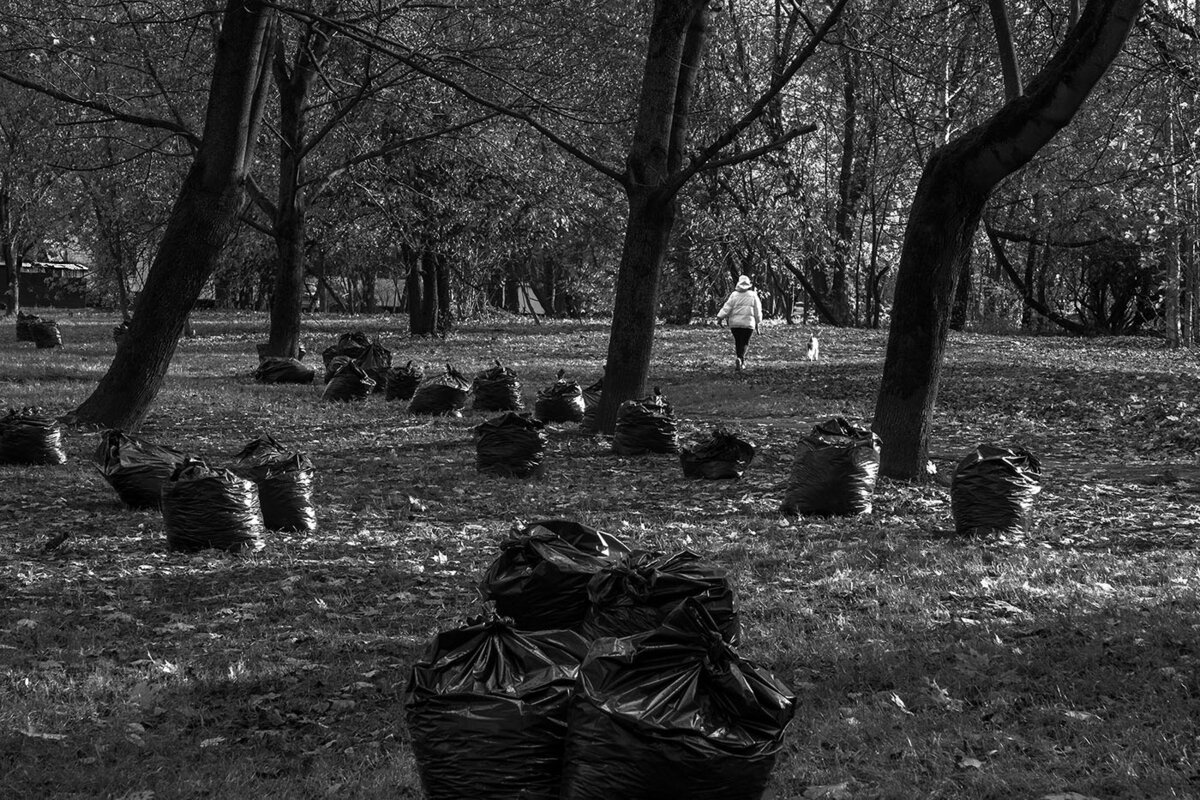 Осень. Москва, 2022. Canon PowerShot G5X MII; 100 mm; 1/250; f/7,1; ISO 400