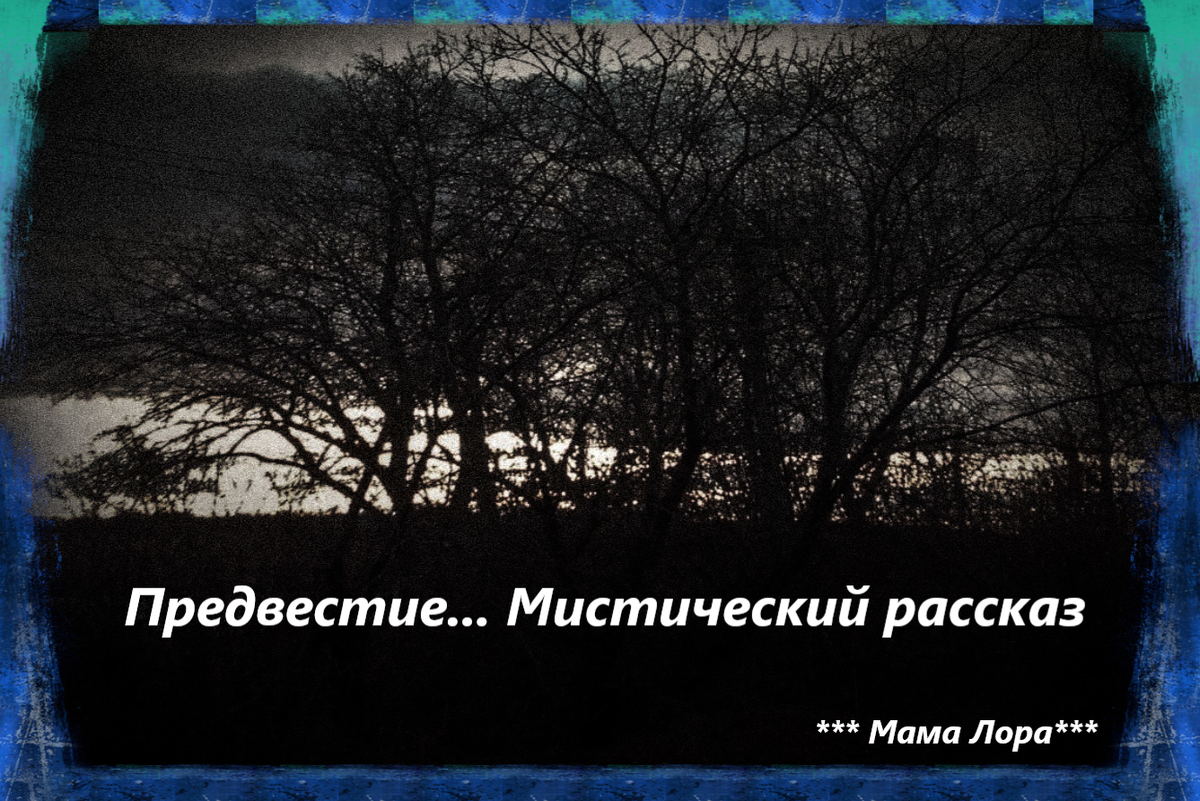 Фото автора канала *** Мама Лора***