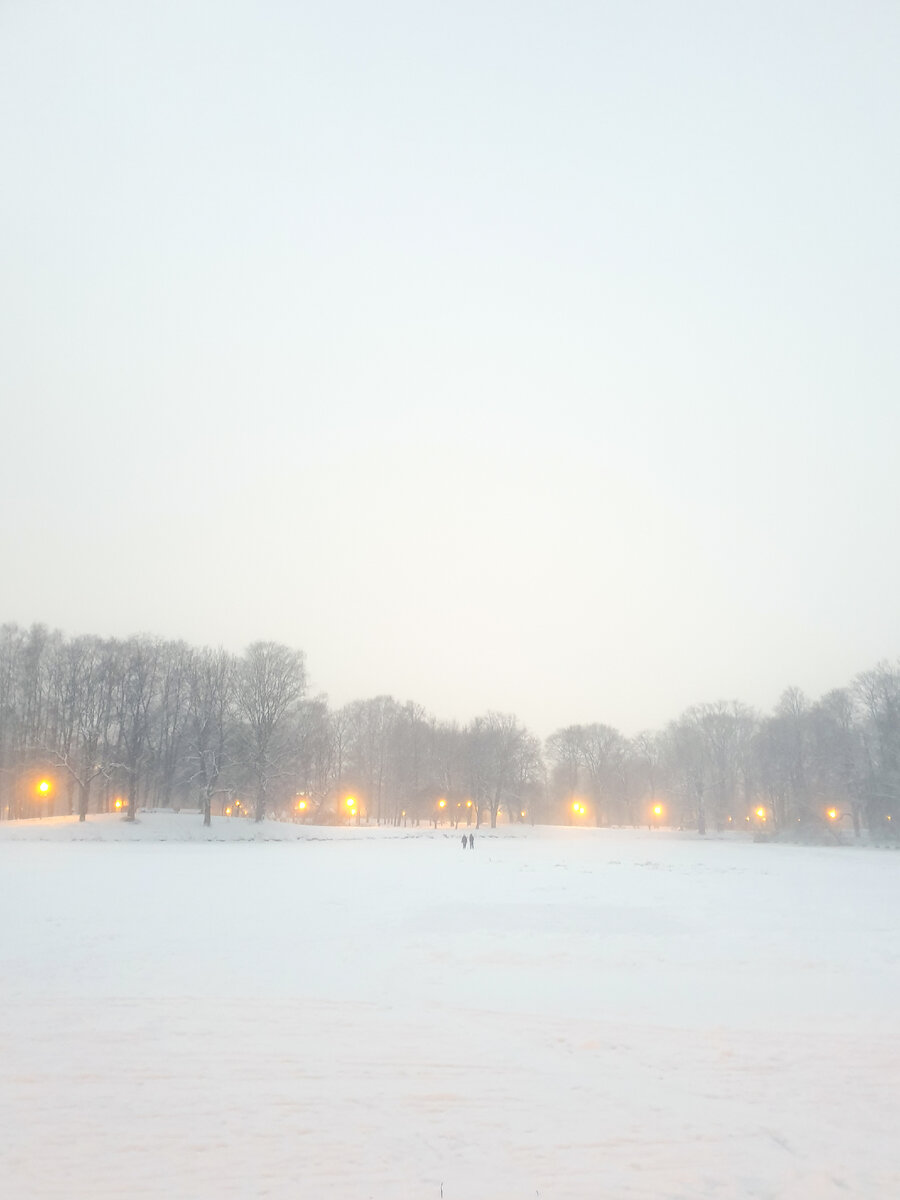В начале пути я казалась себе ёжиком в тумане, который не понимает, что происходит, и что будет дальше. Сейчас я по-прежнему не знаю, что будет дальше, но зато понимаю, что происходит.