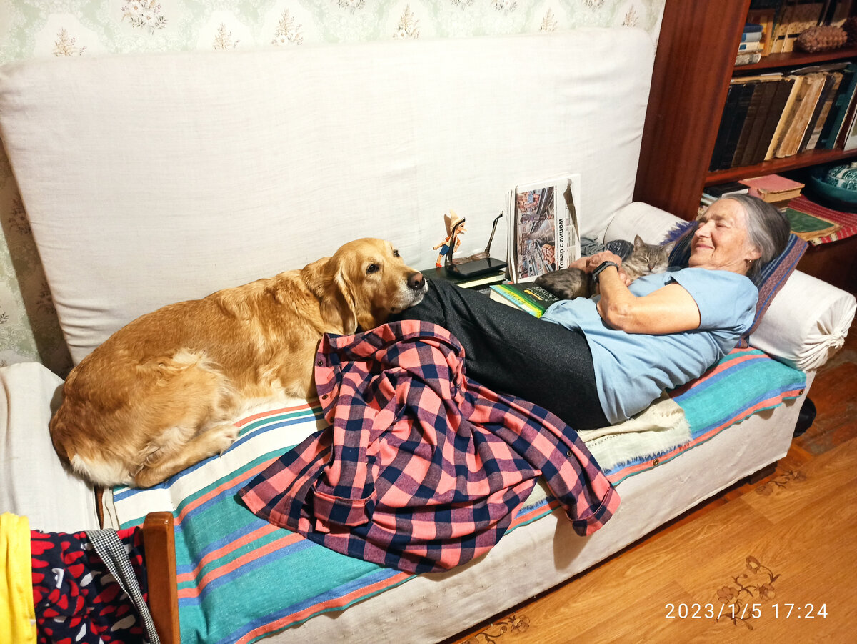 Тётёля, Буся и Ляля отдыхают на диване времён фараона Тутанхамона