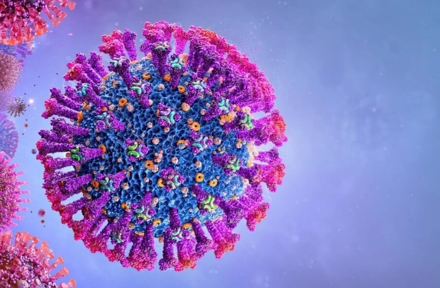    Риновирусы — самые распространенные возбудители простуды