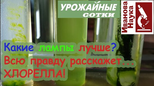 Выбираем подсветку: какой же свет лучше? Экономичное решение для эффективного огорода!