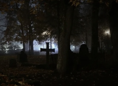 фото из общего доступа