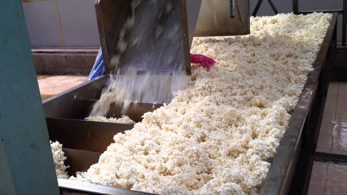 Очищение каучукового сока и удаление лишней влаги