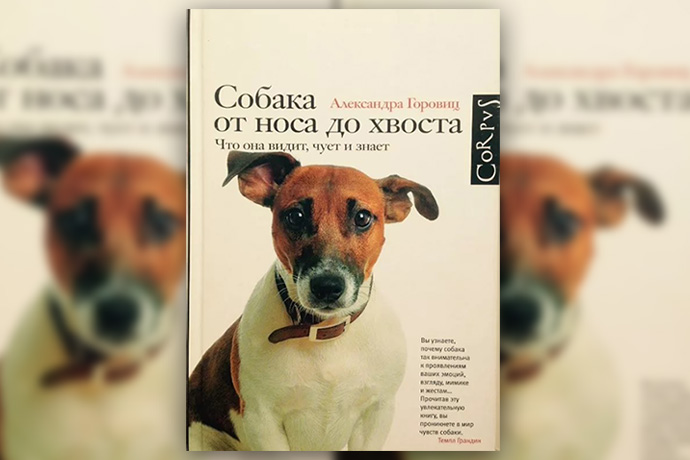 Язык собак книга. Собака от носа до хвоста. Собака от носа до хвоста. Что она видит, чует и знает.