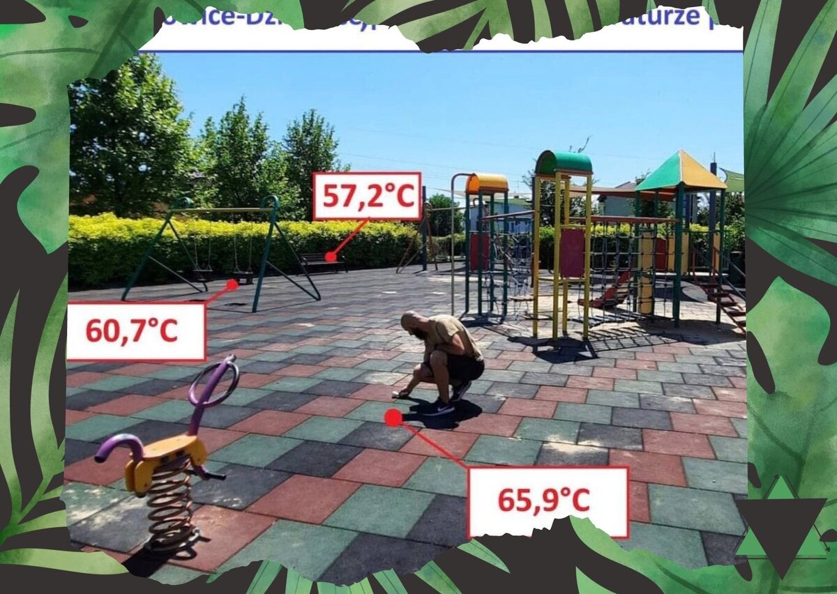 Температура без деревьев у среды просто колоссальная. 