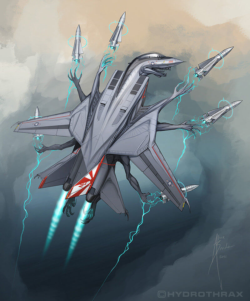 F-14 "Tomcat" с маркировкой эскадрильи «Sundowner» VF-111 (© Alice Bruderer)