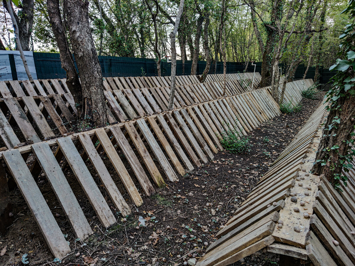 Вот так выглядит улиточная ферма