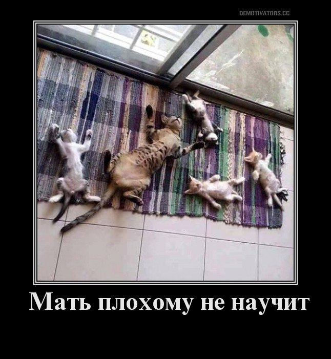 Так точно)))