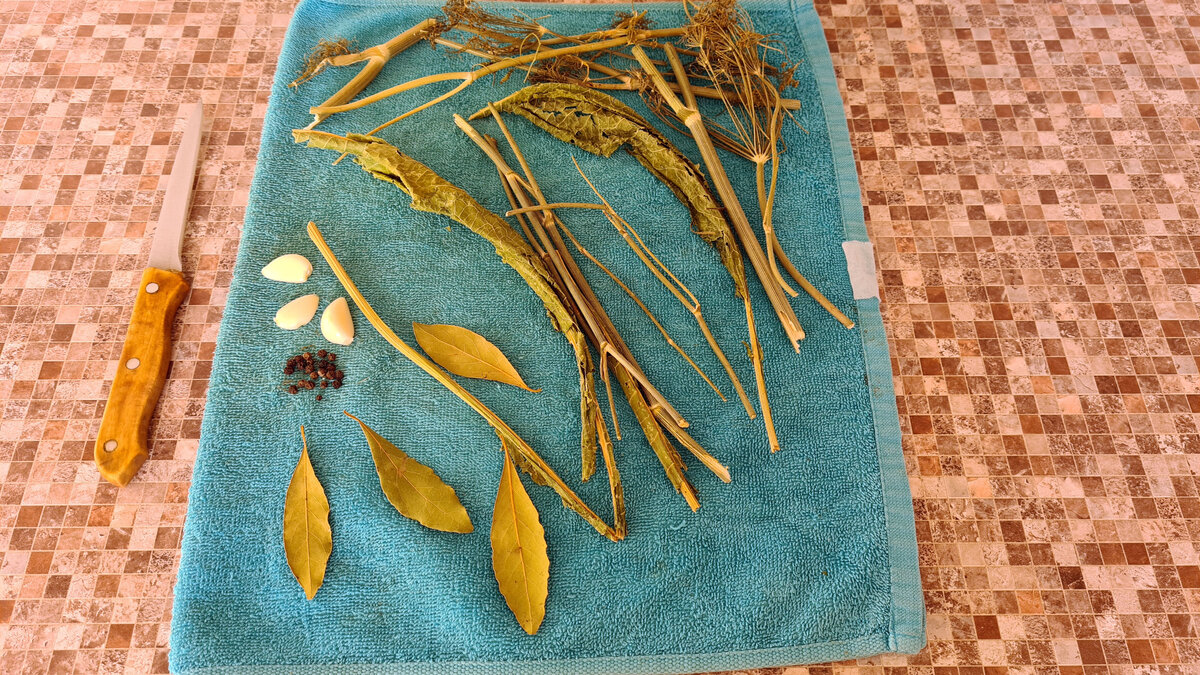 Пряности, которые буду использовать для соления огурцов