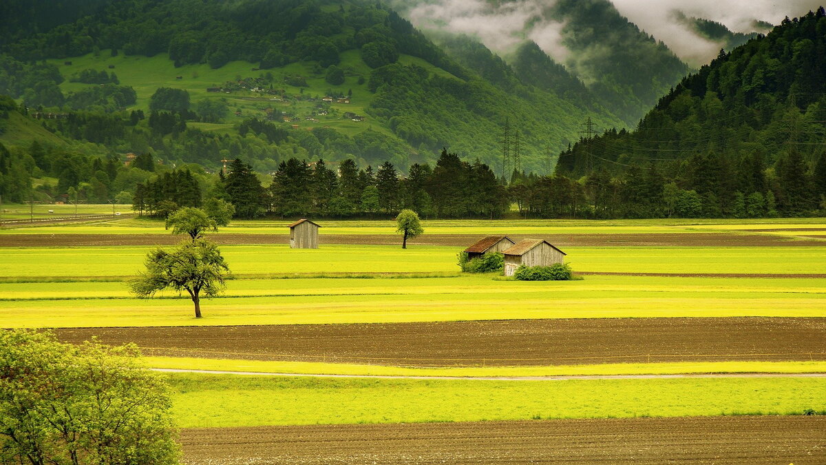  acandraja/https://pixabay.com/