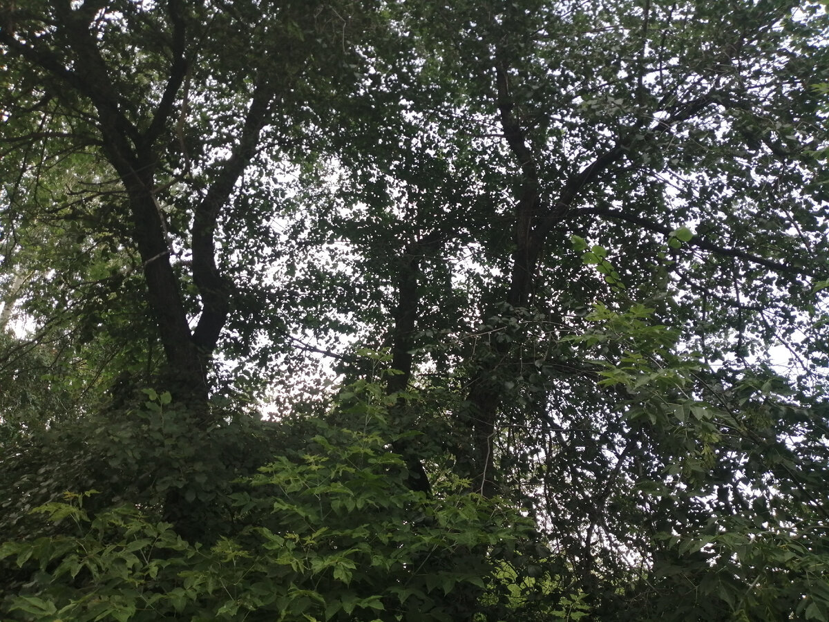 Фото представителя канала 