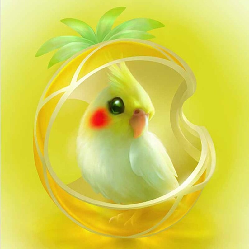 Милые птицы