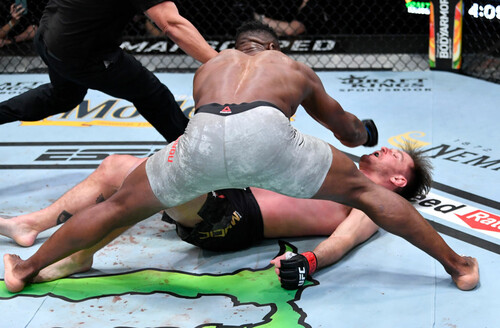 Новый чемпион в тяжёлом весе - Фрэнсис Нганну