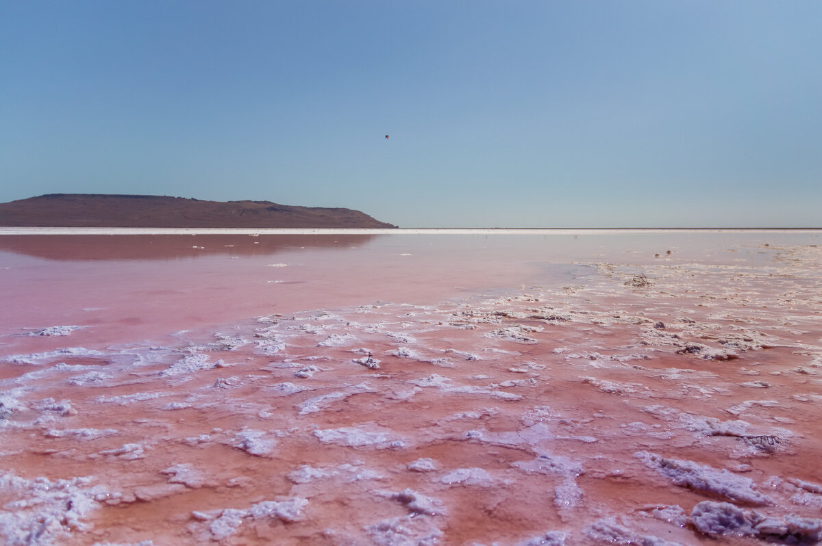 Розовое (Кояшское) озеро в Крыму. Природная локация для фотосессии рядом с морем