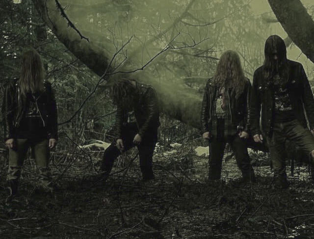 Cerebral Rot