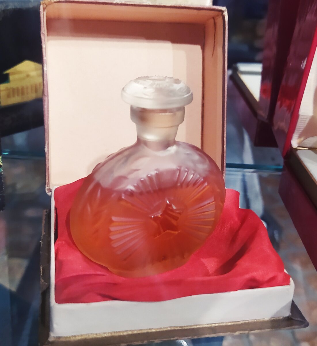 Любимая столица