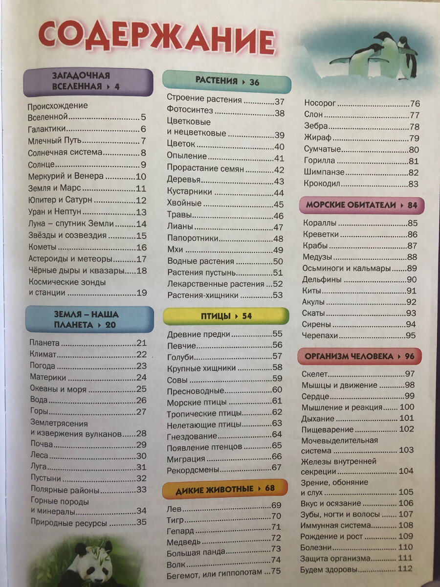 Для школьников идеально. Все фото мои 