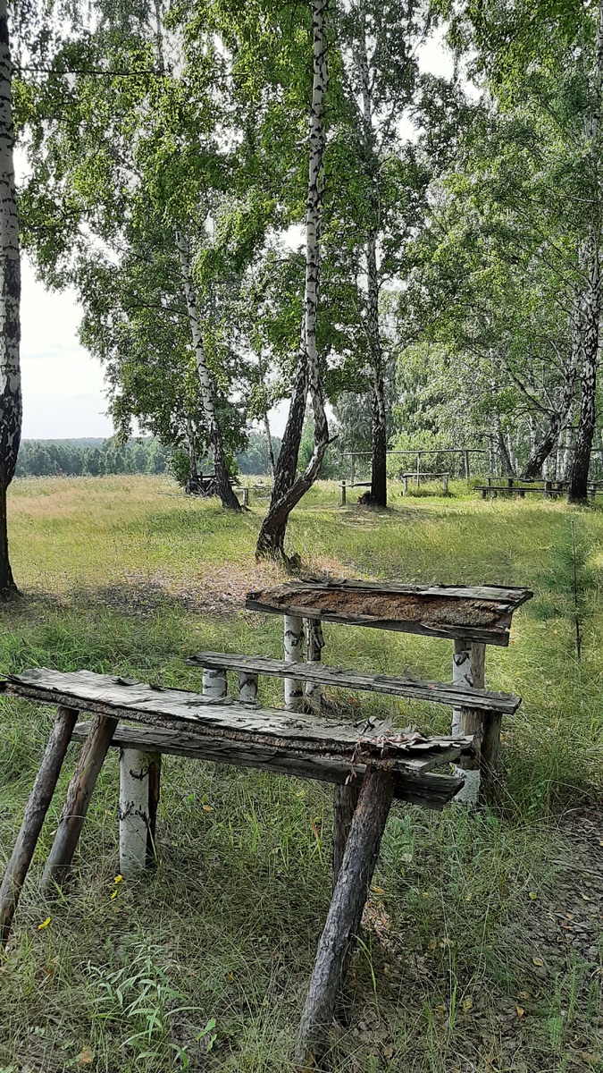 Здесь писались доклады и десертации 😂