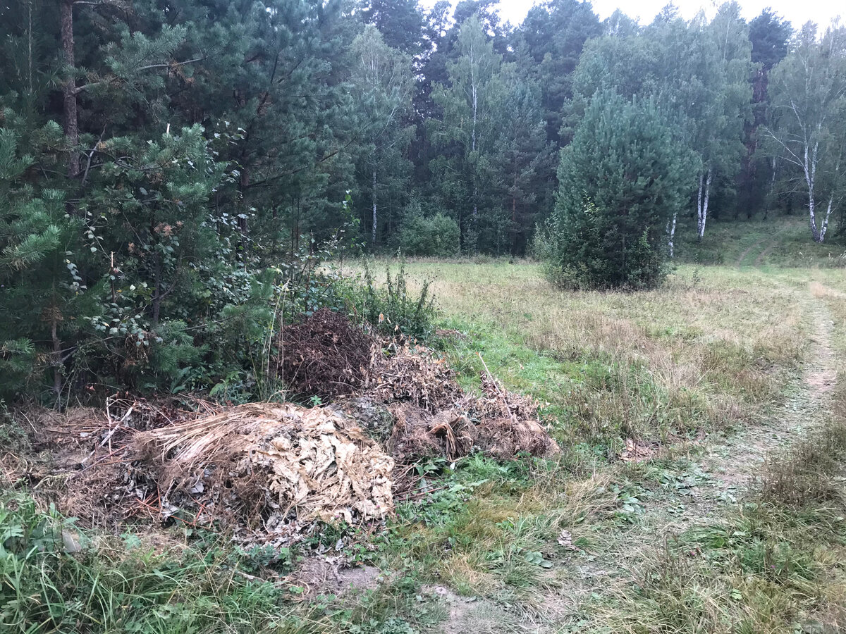 Оставили такой "подарок" природе по елочкой 