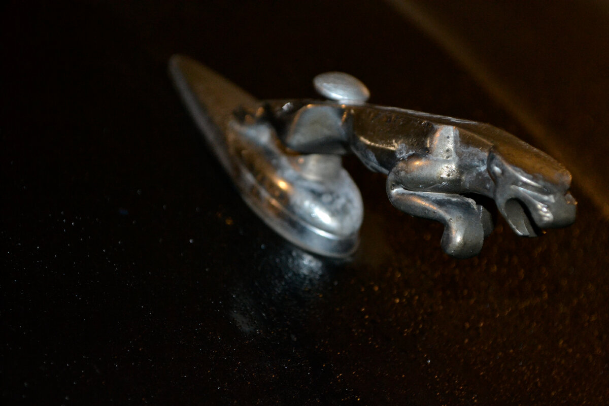 Люксовый седан бизнес-класса/ спортивный седан, выпускаемый британской автомобилестроительной компанией Jaguar с 2008 года. Является преемником Jaguar S-type. XF был впервые представлен в 2007 на Франкфуртском автосалоне. XF был разработан дизайнерском и конструкторском отделении Jaguar в Уитли и производится на заводе в Касл Бромвич. Первые поставки покупателям начались в марте 2008 года.