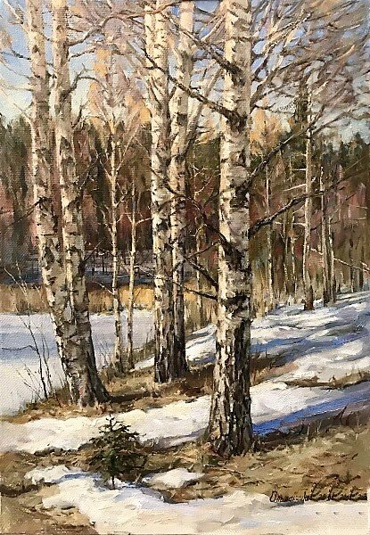 Ольшанников В.А., «Берёзки», 2019, холст, масло, 40 x 60 см