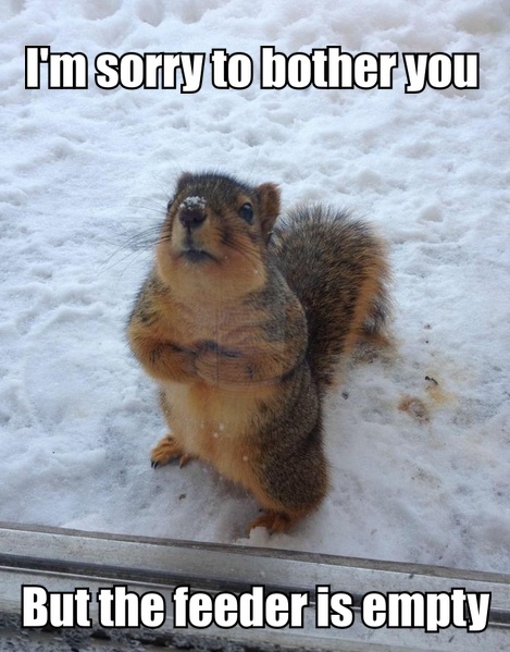https://funnypictures.me/im-sorry-to-bother-you/