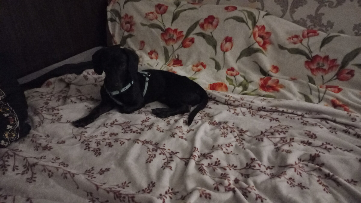 Девять килограммов позитива