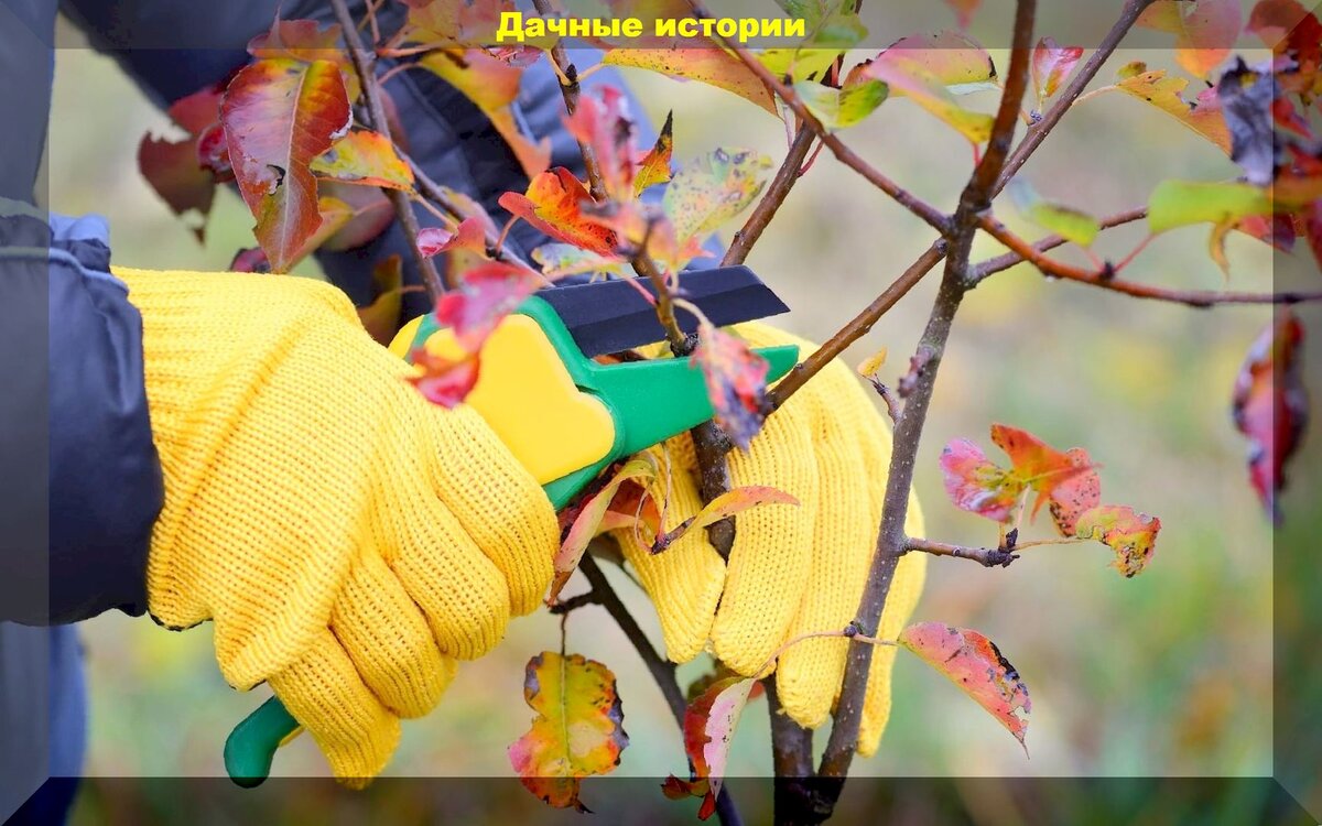 https://vk.com/photo-159774511_457249860