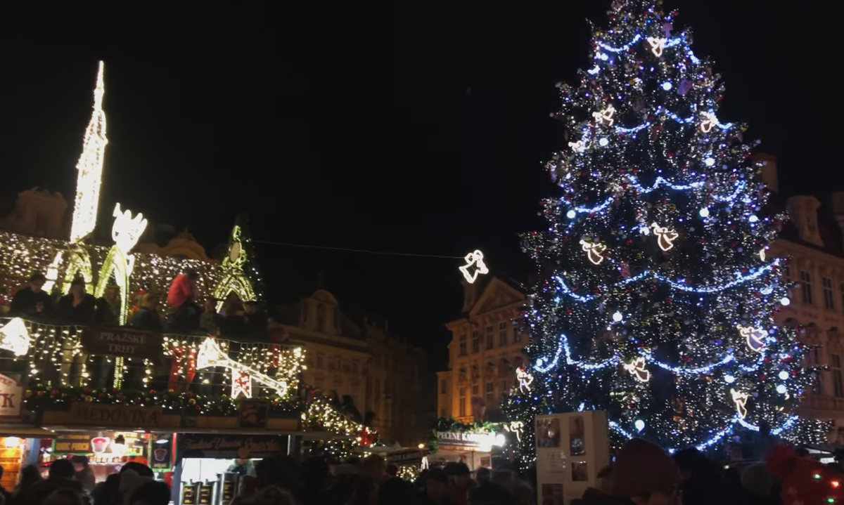 Все сверкает и повсюду наряженные елки