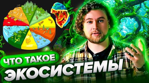 Что такое экосистема? | Просто о сложном - Сортировочная