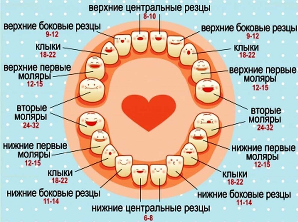 Добавьте описание