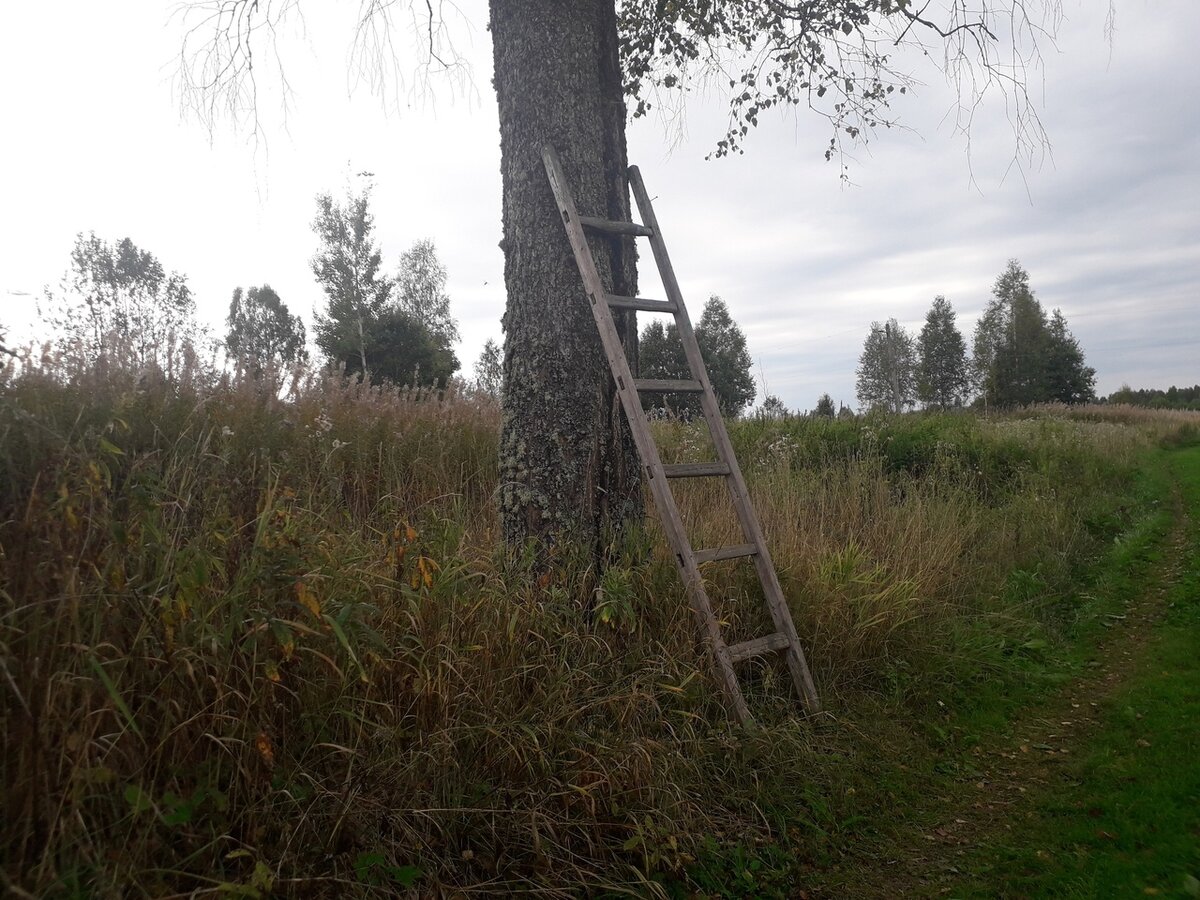 Ржев,Оленино,деревня Городок и Тверь, мое маленькое путешествие. |  Kurochkin blog | Дзен