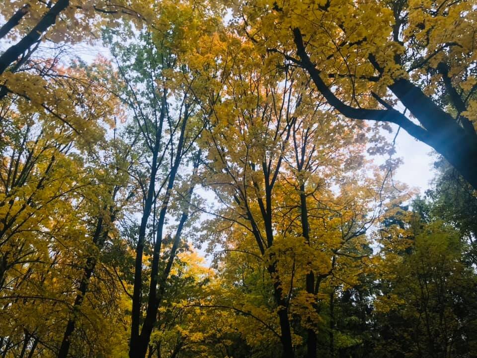 фото сделанное автором