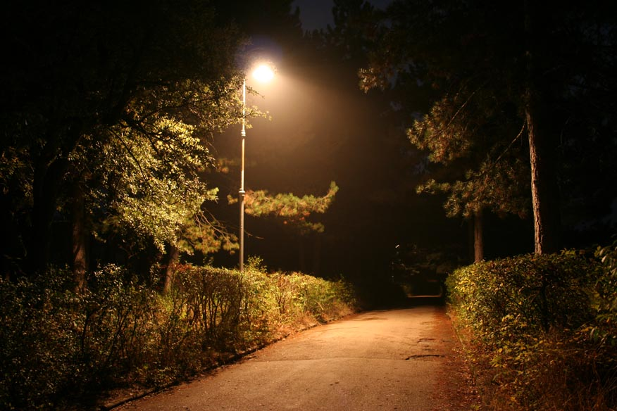 фото из интернета