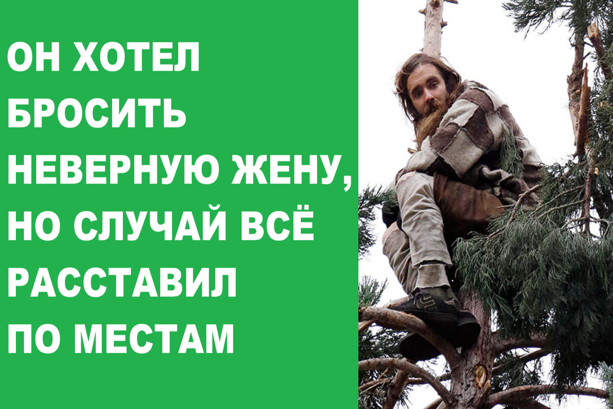 Он хотел бросить неверную жену, но случай всё расставил по местам |  Мастерская Александра Молчанова | Дзен