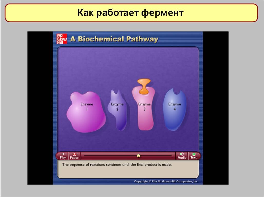 Ничто так не мотивирует ученика на изучение биологии, как лабораторная  работа. Изучаем ферменты в 8 классе | Елена Сова: пуд соли в школе | Дзен