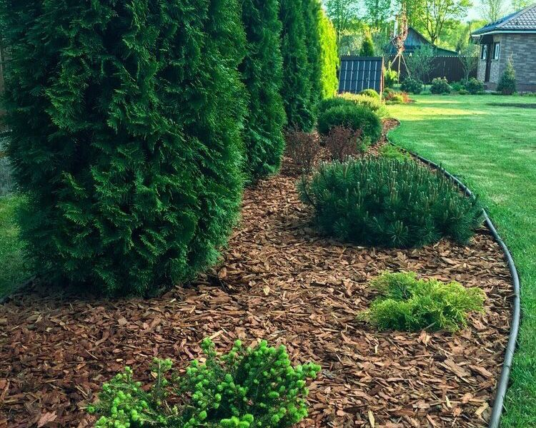 Источник: Личная галерея