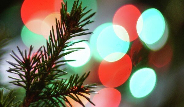 фото: РИА Новости/Владимир Астапкович