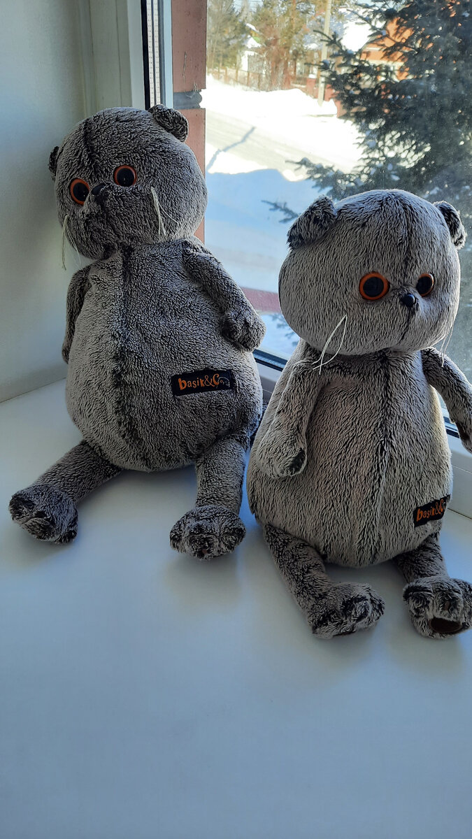 Моя фотка😊