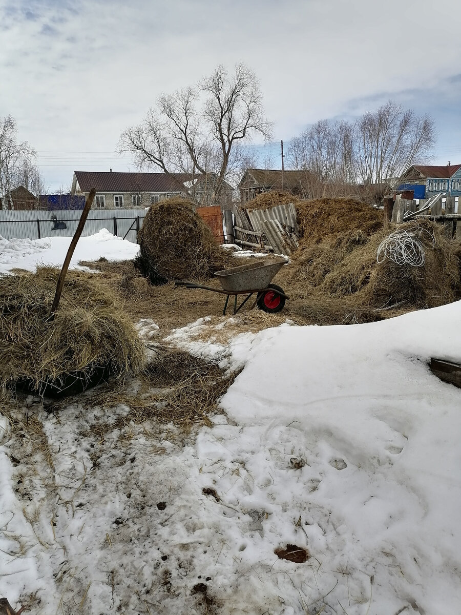 Продолжение заметок о малой родине. Чувашская республика, деревня ...
